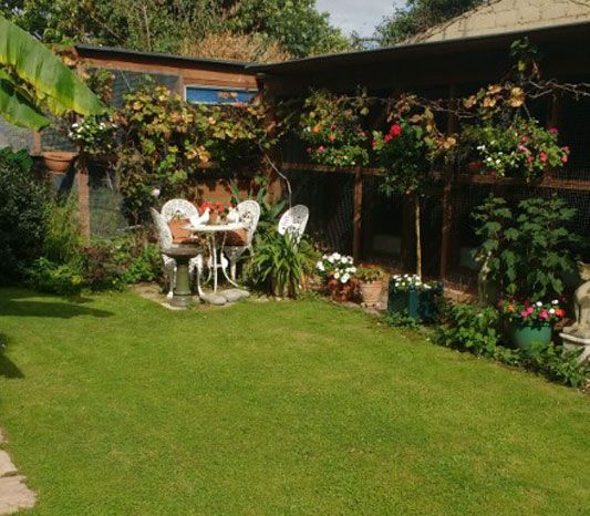 View of the garden and seating area