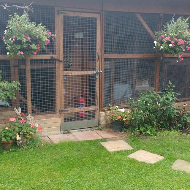 A view of the doorway to the cattery